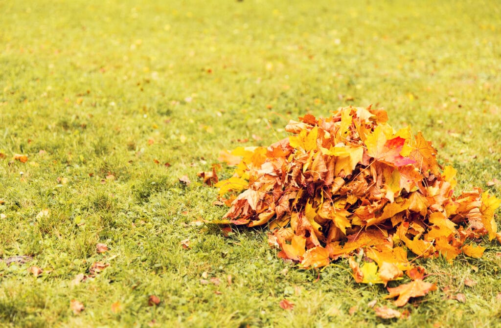 Protect your HVAC System from Fallen Leaves